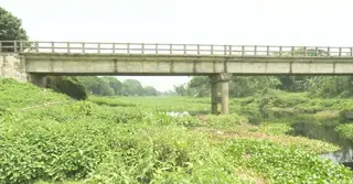 দখল-দূষণে অস্তিত্ব সংকটে নরসিংদীর হাড়িধোয়া নদী